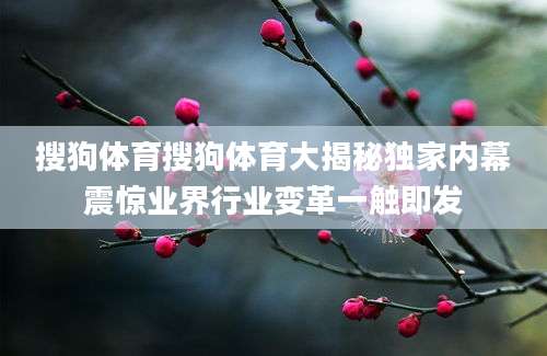 搜狗体育搜狗体育大揭秘独家内幕震惊业界行业变革一触即发