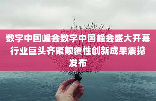 数字中国峰会数字中国峰会盛大开幕行业巨头齐聚颠覆性创新成果震撼发布