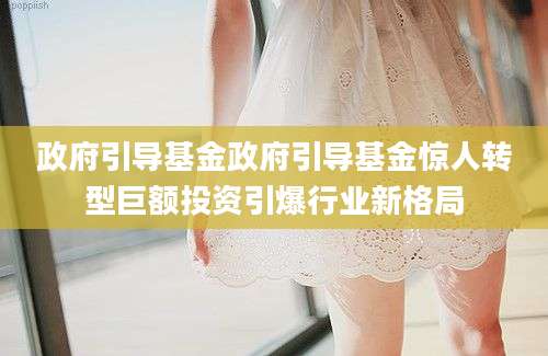 政府引导基金政府引导基金惊人转型巨额投资引爆行业新格局