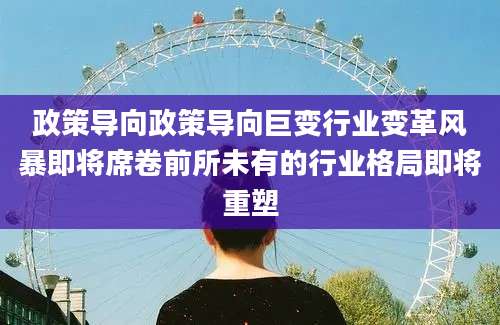 政策导向政策导向巨变行业变革风暴即将席卷前所未有的行业格局即将重塑