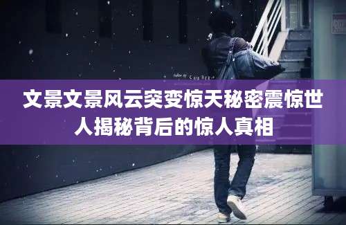 文景文景风云突变惊天秘密震惊世人揭秘背后的惊人真相