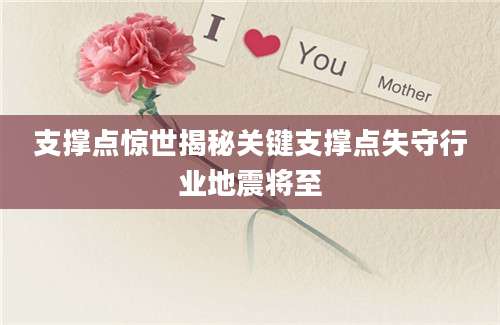 支撑点惊世揭秘关键支撑点失守行业地震将至