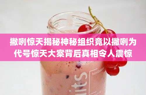 撇咧惊天揭秘神秘组织竟以撇咧为代号惊天大案背后真相令人震惊