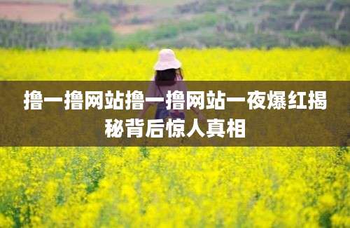 撸一撸网站撸一撸网站一夜爆红揭秘背后惊人真相
