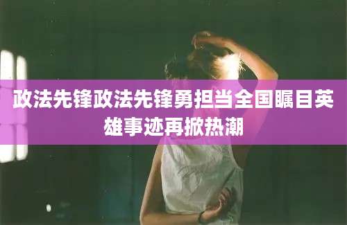 政法先锋政法先锋勇担当全国瞩目英雄事迹再掀热潮