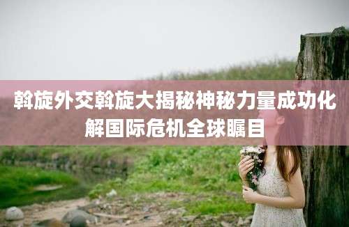 斡旋外交斡旋大揭秘神秘力量成功化解国际危机全球瞩目
