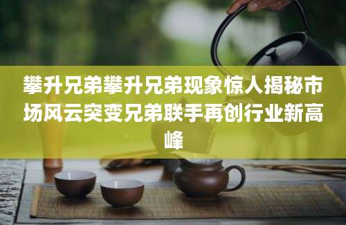 攀升兄弟攀升兄弟现象惊人揭秘市场风云突变兄弟联手再创行业新高峰