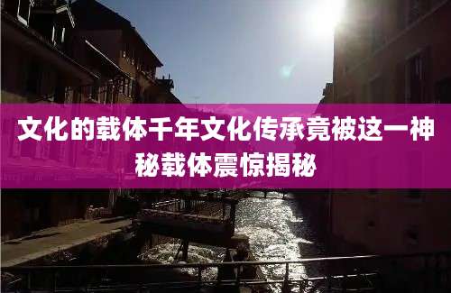 文化的载体千年文化传承竟被这一神秘载体震惊揭秘