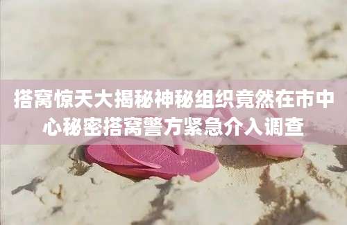 搭窝惊天大揭秘神秘组织竟然在市中心秘密搭窝警方紧急介入调查