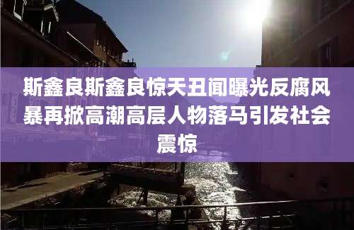 斯鑫良斯鑫良惊天丑闻曝光反腐风暴再掀高潮高层人物落马引发社会震惊