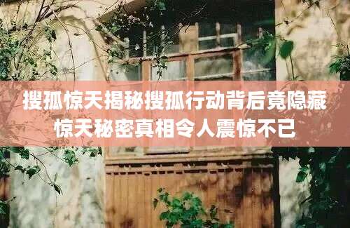 搜孤惊天揭秘搜孤行动背后竟隐藏惊天秘密真相令人震惊不已