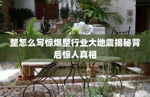 整怎么写惊爆整行业大地震揭秘背后惊人真相