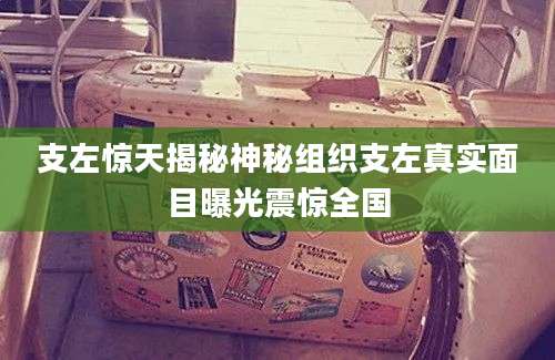 支左惊天揭秘神秘组织支左真实面目曝光震惊全国