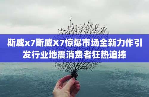 斯威x7斯威X7惊爆市场全新力作引发行业地震消费者狂热追捧