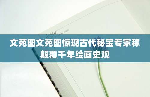 文苑图文苑图惊现古代秘宝专家称颠覆千年绘画史观
