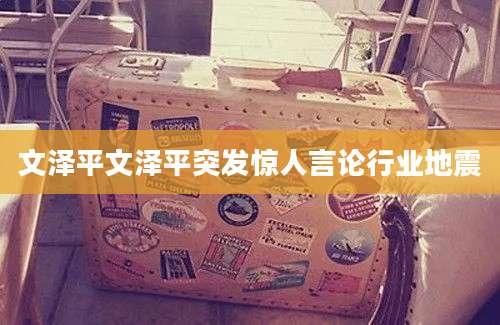 文泽平文泽平突发惊人言论行业地震