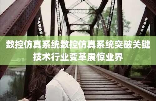 数控仿真系统数控仿真系统突破关键技术行业变革震惊业界