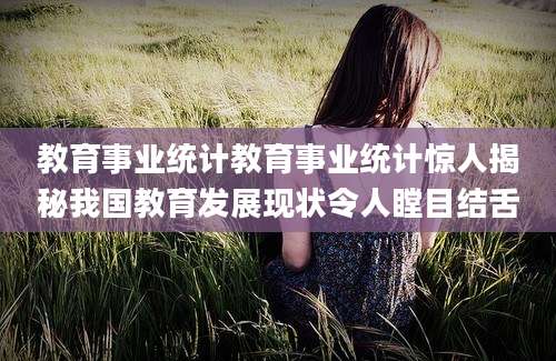 教育事业统计教育事业统计惊人揭秘我国教育发展现状令人瞠目结舌