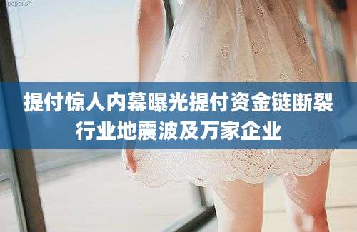 提付惊人内幕曝光提付资金链断裂行业地震波及万家企业