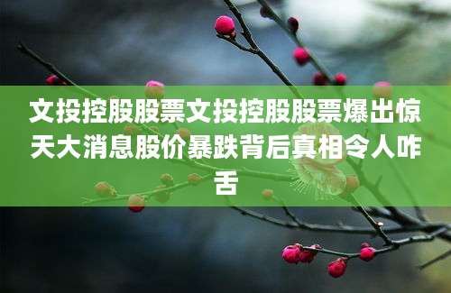 文投控股股票文投控股股票爆出惊天大消息股价暴跌背后真相令人咋舌