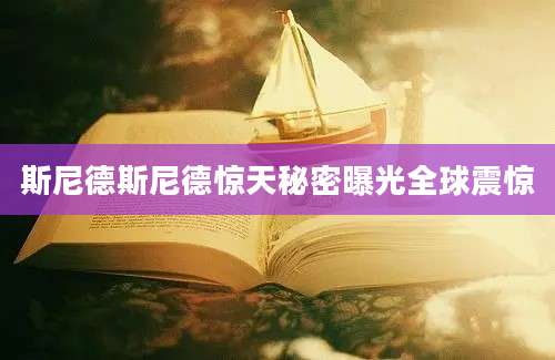 斯尼德斯尼德惊天秘密曝光全球震惊