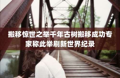 搬移惊世之举千年古树搬移成功专家称此举刷新世界纪录