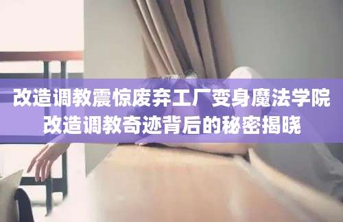 改造调教震惊废弃工厂变身魔法学院改造调教奇迹背后的秘密揭晓