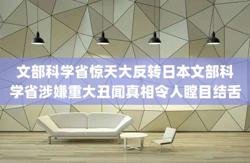 文部科学省惊天大反转日本文部科学省涉嫌重大丑闻真相令人瞠目结舌