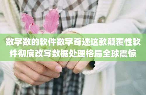 数字数的软件数字奇迹这款颠覆性软件彻底改写数据处理格局全球震惊