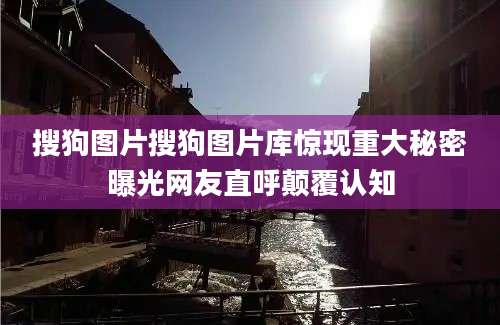 搜狗图片搜狗图片库惊现重大秘密曝光网友直呼颠覆认知