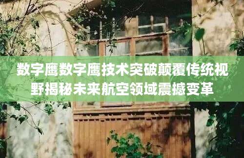 数字鹰数字鹰技术突破颠覆传统视野揭秘未来航空领域震撼变革