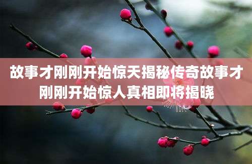 故事才刚刚开始惊天揭秘传奇故事才刚刚开始惊人真相即将揭晓