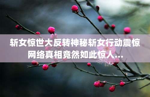 斩女惊世大反转神秘斩女行动震惊网络真相竟然如此惊人...