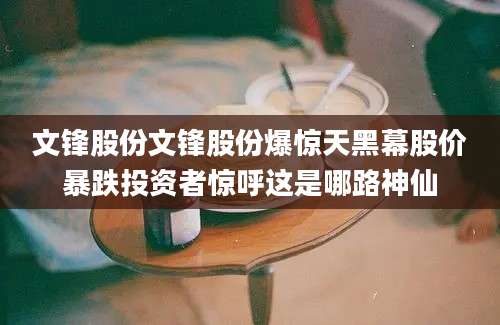 文锋股份文锋股份爆惊天黑幕股价暴跌投资者惊呼这是哪路神仙