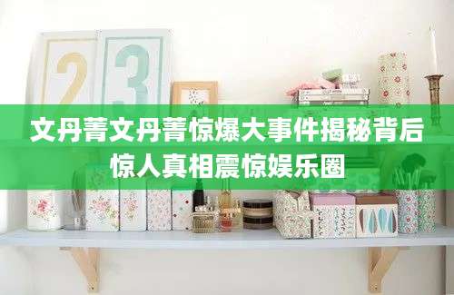 文丹菁文丹菁惊爆大事件揭秘背后惊人真相震惊娱乐圈