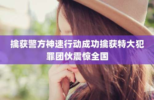 擒获警方神速行动成功擒获特大犯罪团伙震惊全国