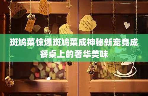 斑鸠菜惊爆斑鸠菜成神秘新宠竟成餐桌上的奢华美味