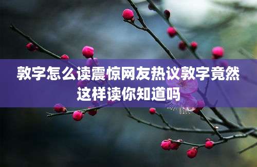 敦字怎么读震惊网友热议敦字竟然这样读你知道吗