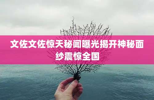 文佐文佐惊天秘闻曝光揭开神秘面纱震惊全国