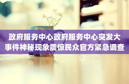 政府服务中心政府服务中心突发大事件神秘现象震惊民众官方紧急调查