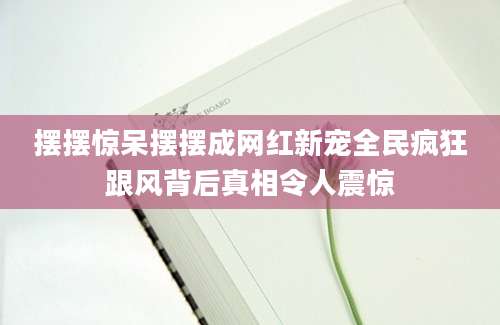 摆摆惊呆摆摆成网红新宠全民疯狂跟风背后真相令人震惊