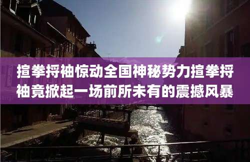 揎拳捋袖惊动全国神秘势力揎拳捋袖竟掀起一场前所未有的震撼风暴