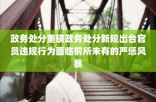 政务处分重磅政务处分新规出台官员违规行为面临前所未有的严惩风暴