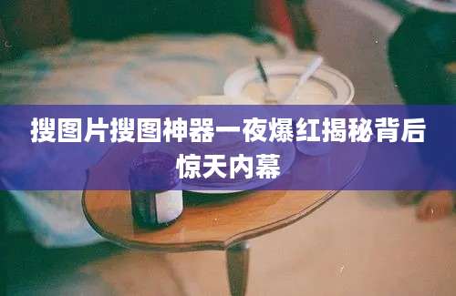 搜图片搜图神器一夜爆红揭秘背后惊天内幕