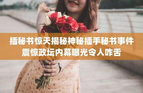 插秘书惊天揭秘神秘插手秘书事件震惊政坛内幕曝光令人咋舌