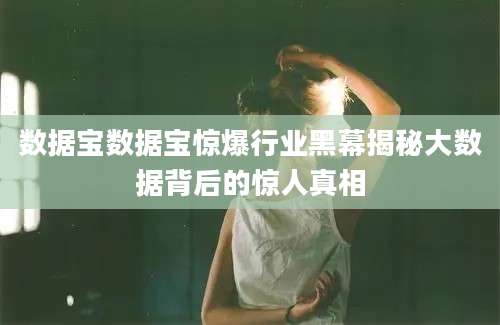 数据宝数据宝惊爆行业黑幕揭秘大数据背后的惊人真相