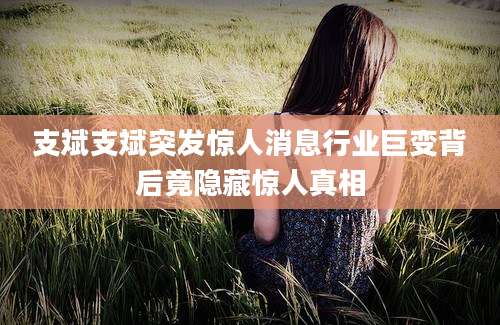 支斌支斌突发惊人消息行业巨变背后竟隐藏惊人真相