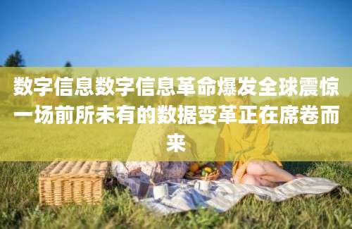 数字信息数字信息革命爆发全球震惊一场前所未有的数据变革正在席卷而来