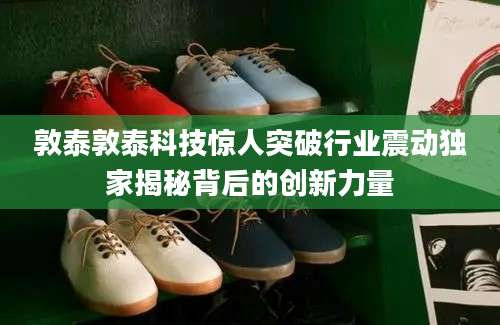 敦泰敦泰科技惊人突破行业震动独家揭秘背后的创新力量