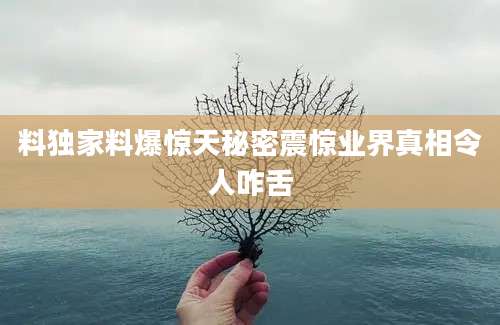 料独家料爆惊天秘密震惊业界真相令人咋舌